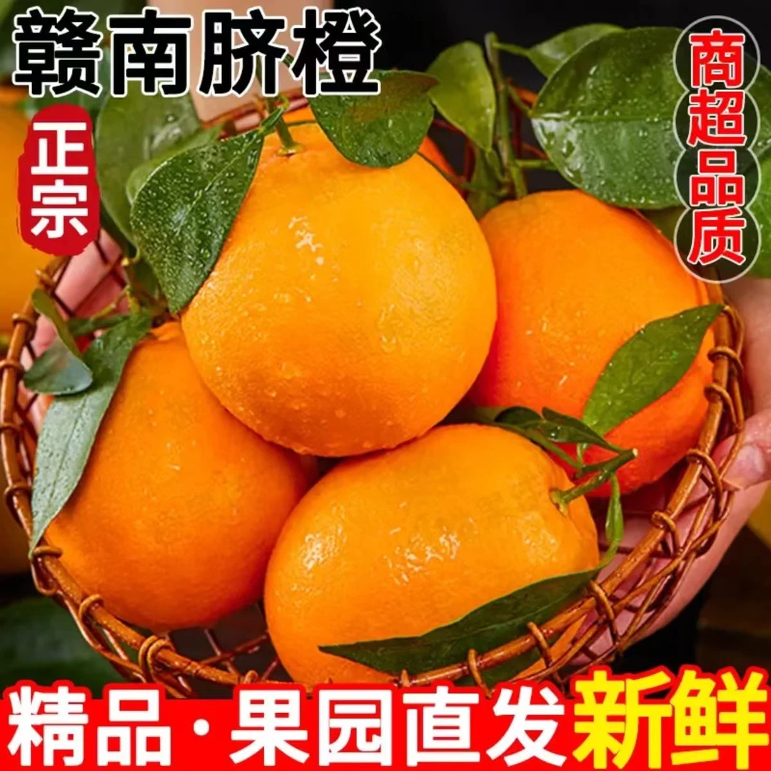 【发京东】现摘正宗赣南早熟脐橙赣州应季水果新鲜橙子产地直发特产