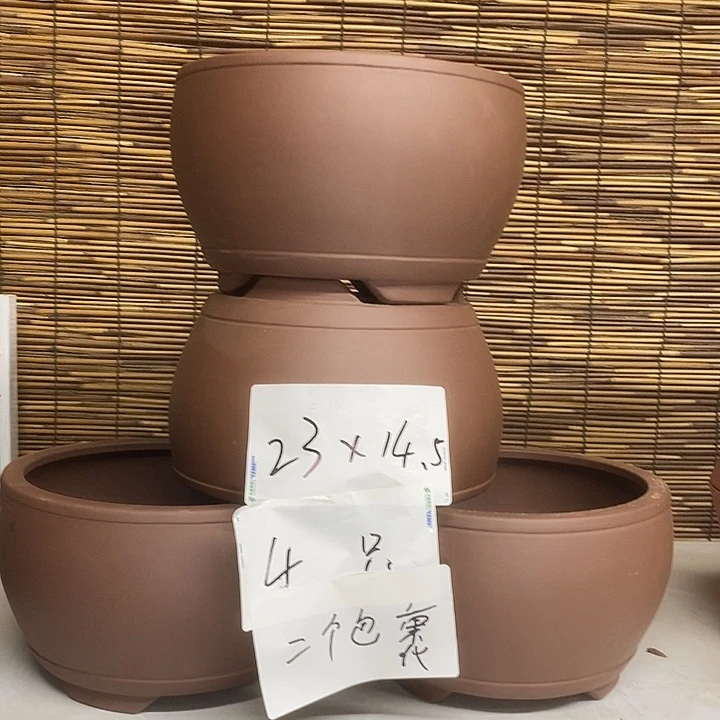 紫砂花盆我在外面