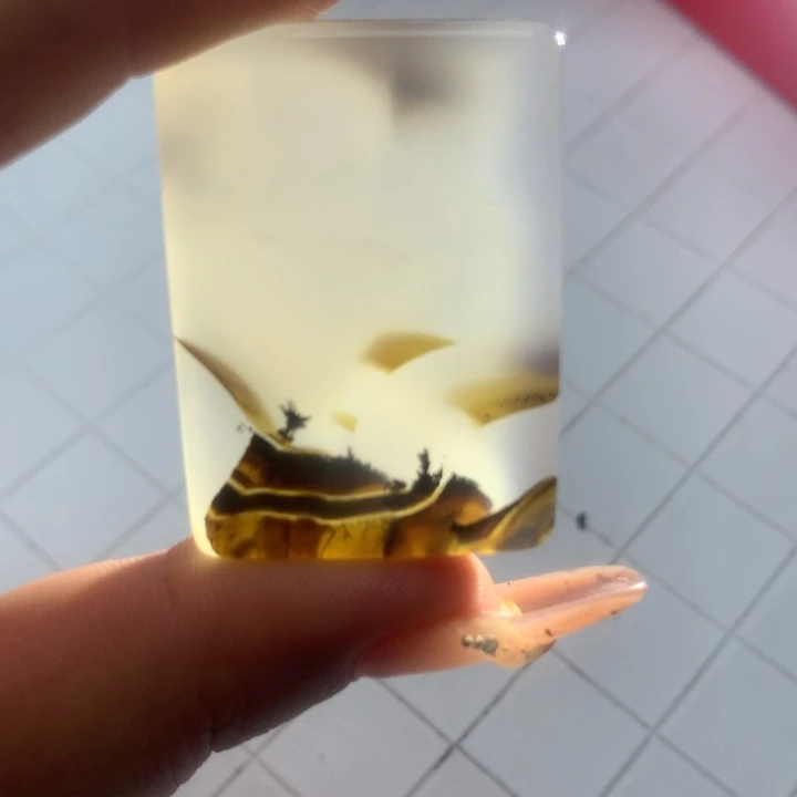 丁***强玛瑙/玉髓未镶嵌颈饰