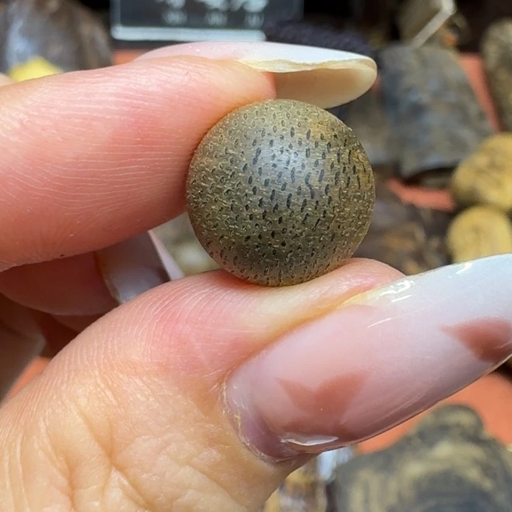 大叶紫檀（黑酸枝木类）