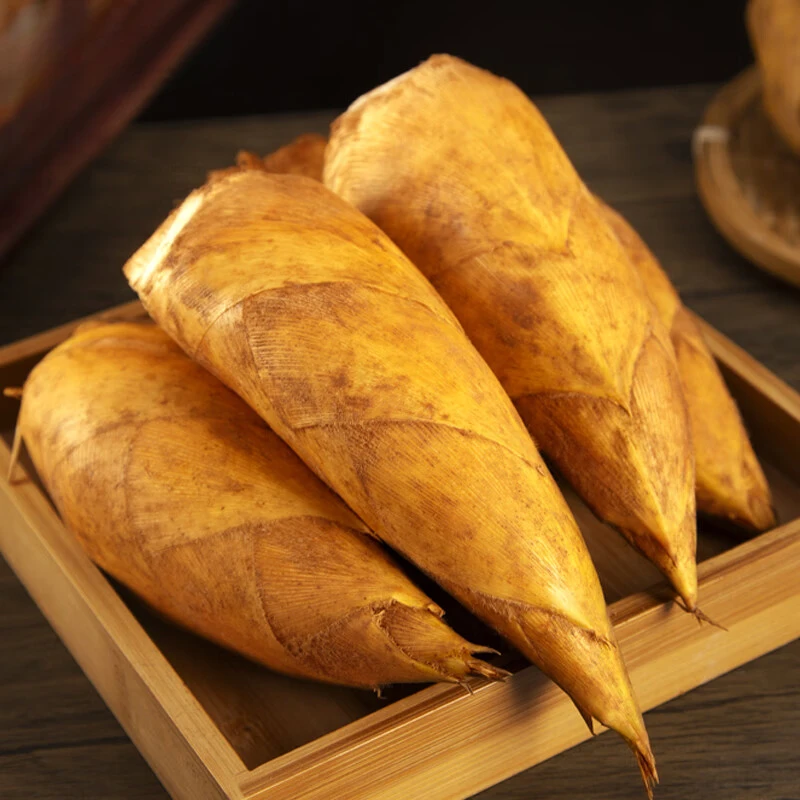 正宗临安天目山现挖冬笋3斤新鲜竹笋单果2两起蔬菜源头直发