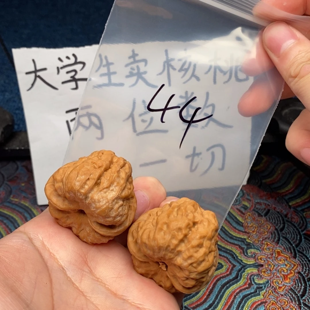 核桃哈哈哈哈哈哈哈哈哈哈