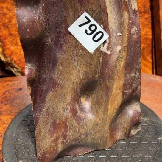 大果紫檀（缅甸花梨）