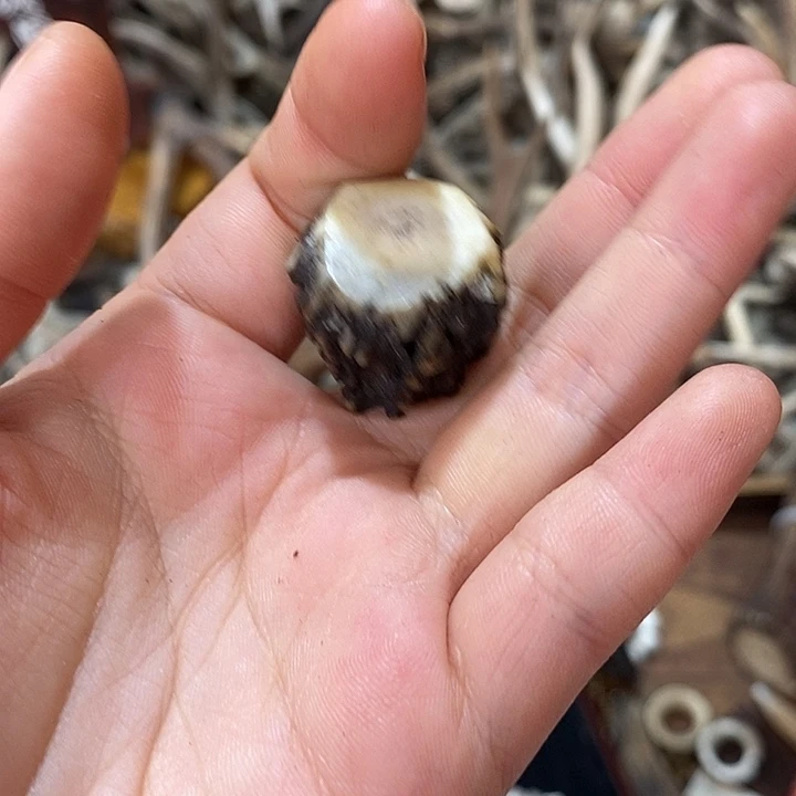 石英石非金属鹿角鹿角
