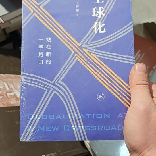 全球化王辉耀老师的一本书。
