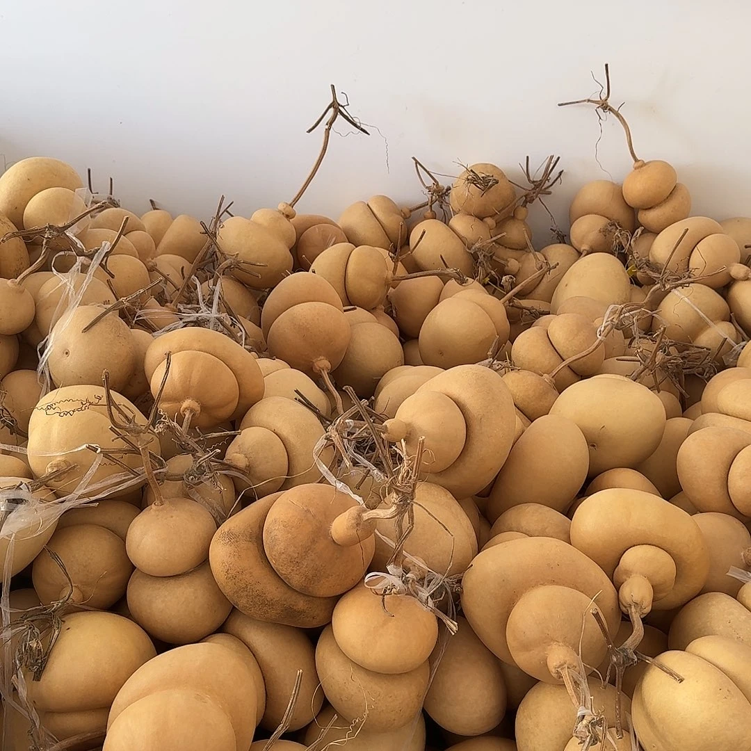 花***麦大叶紫檀（黑酸枝木类）