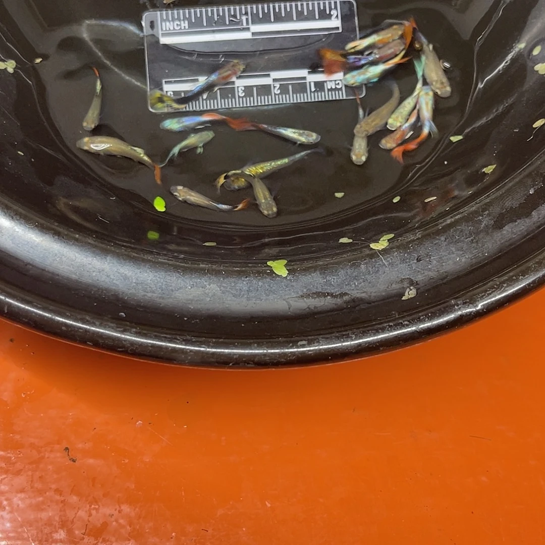 海水28号哈哈哈哈哈哈