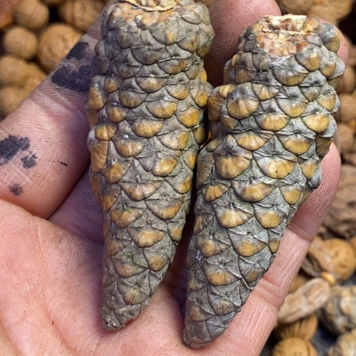 文玩核桃吊坠东北特产347