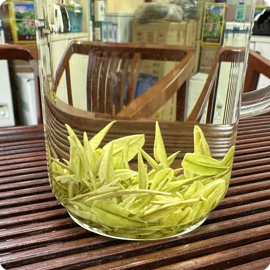 【奶白茶2号】2025新茶安吉白茶高山奶白茶