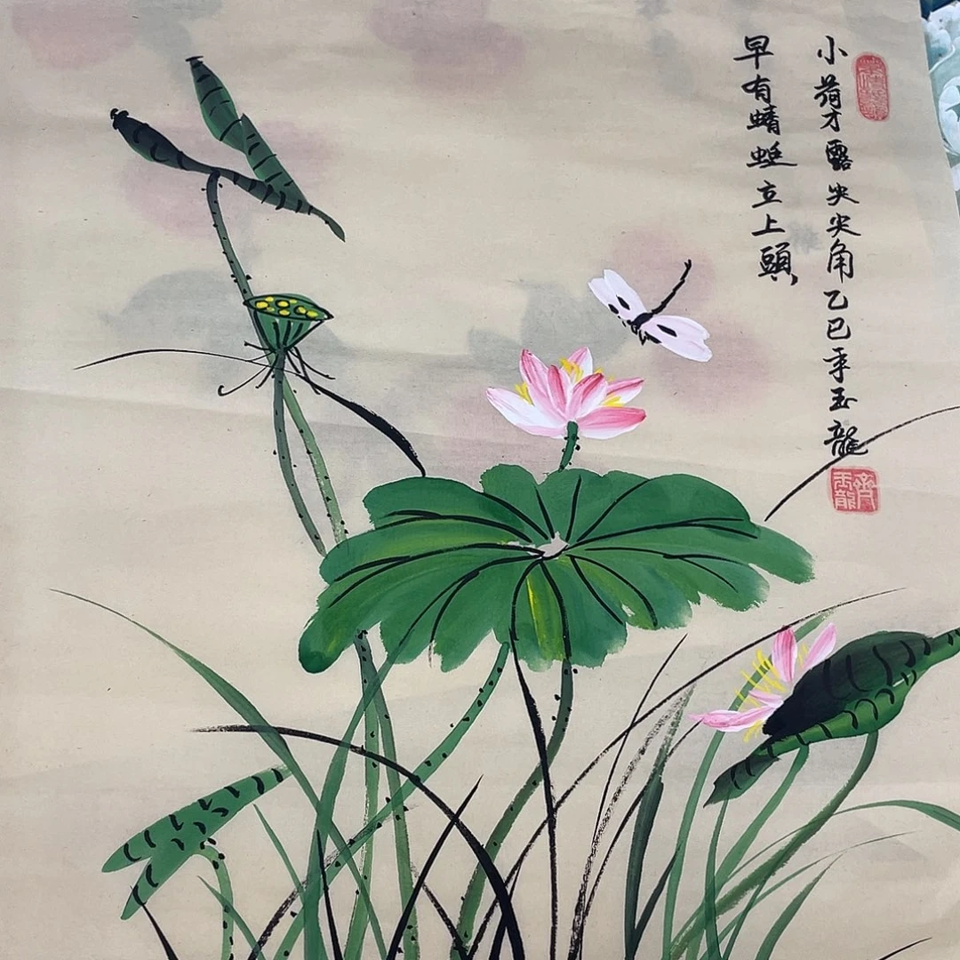 国画国画作品书法作品原稿斗方荷花蜻蜓