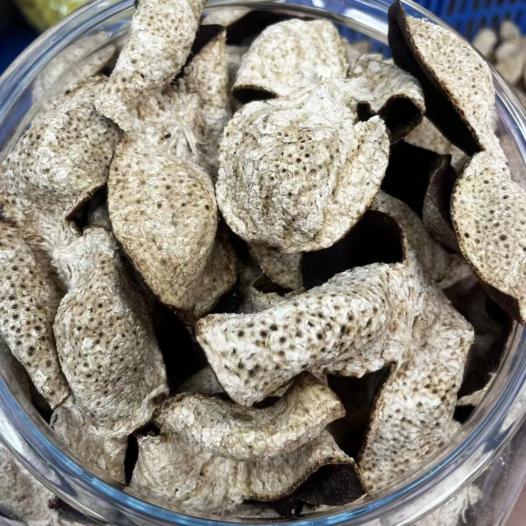 2019年梅江塞口沙原枝冬后皮