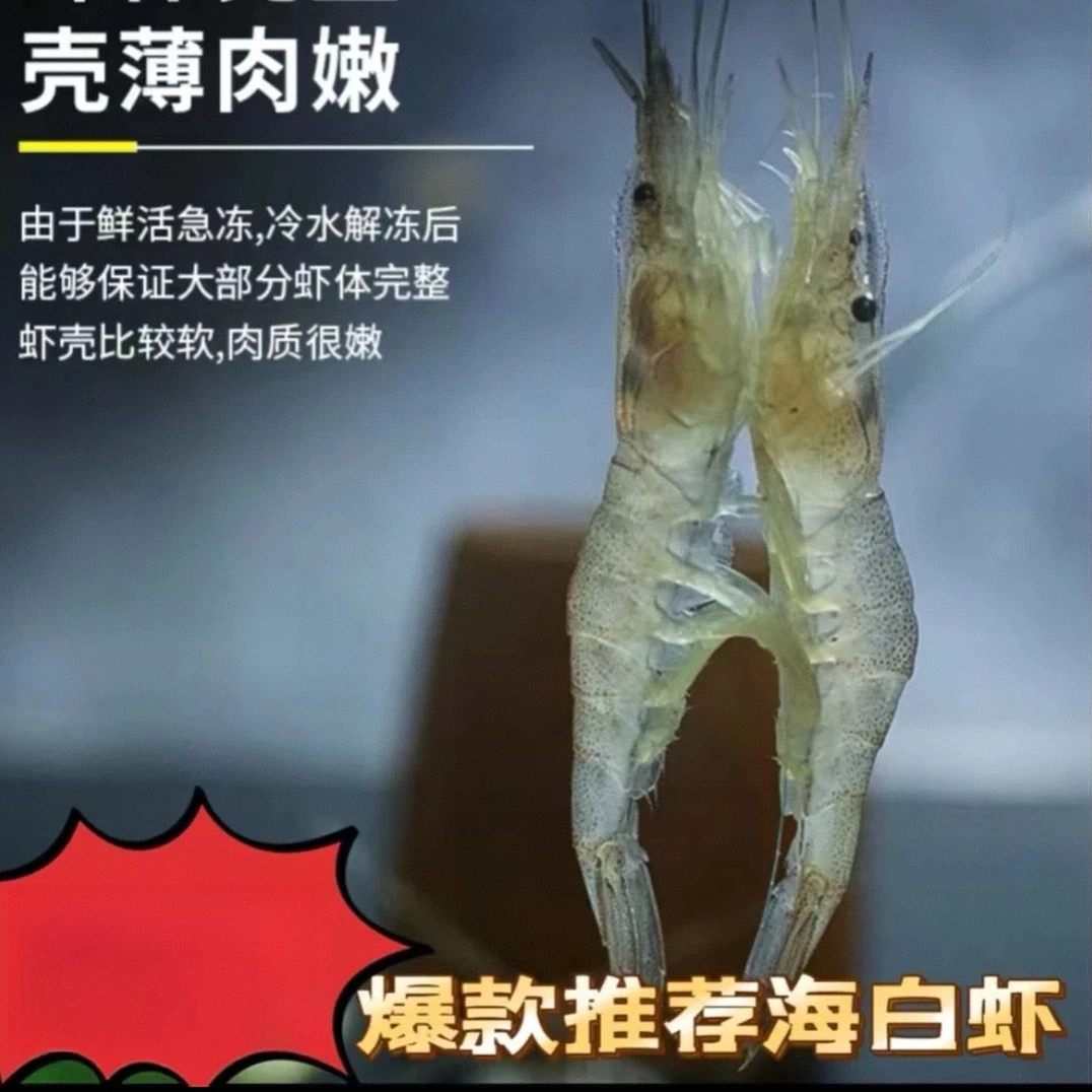 【到手6斤】当季海捕海白虾小海虾肉质鲜嫩嫌小勿拍顺丰京东包邮F