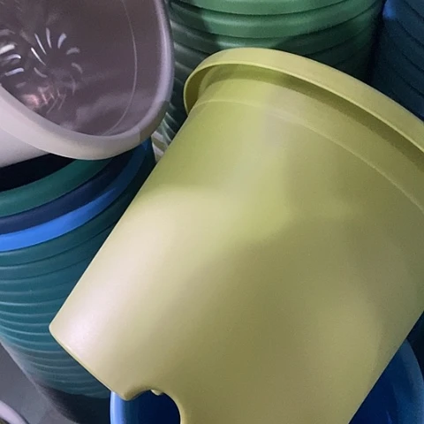 树脂四季5号微瑕果绿无托6个