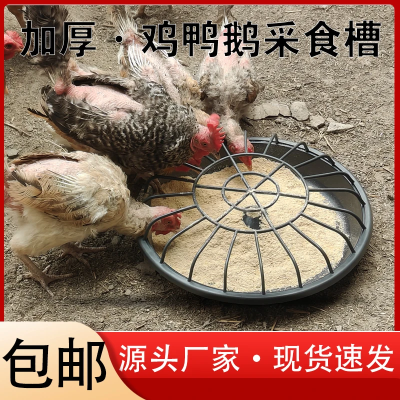 鸡鸭食槽加厚塑料耐摔耐踩不生锈耐腐蚀带分食网节约饲料干湿料槽