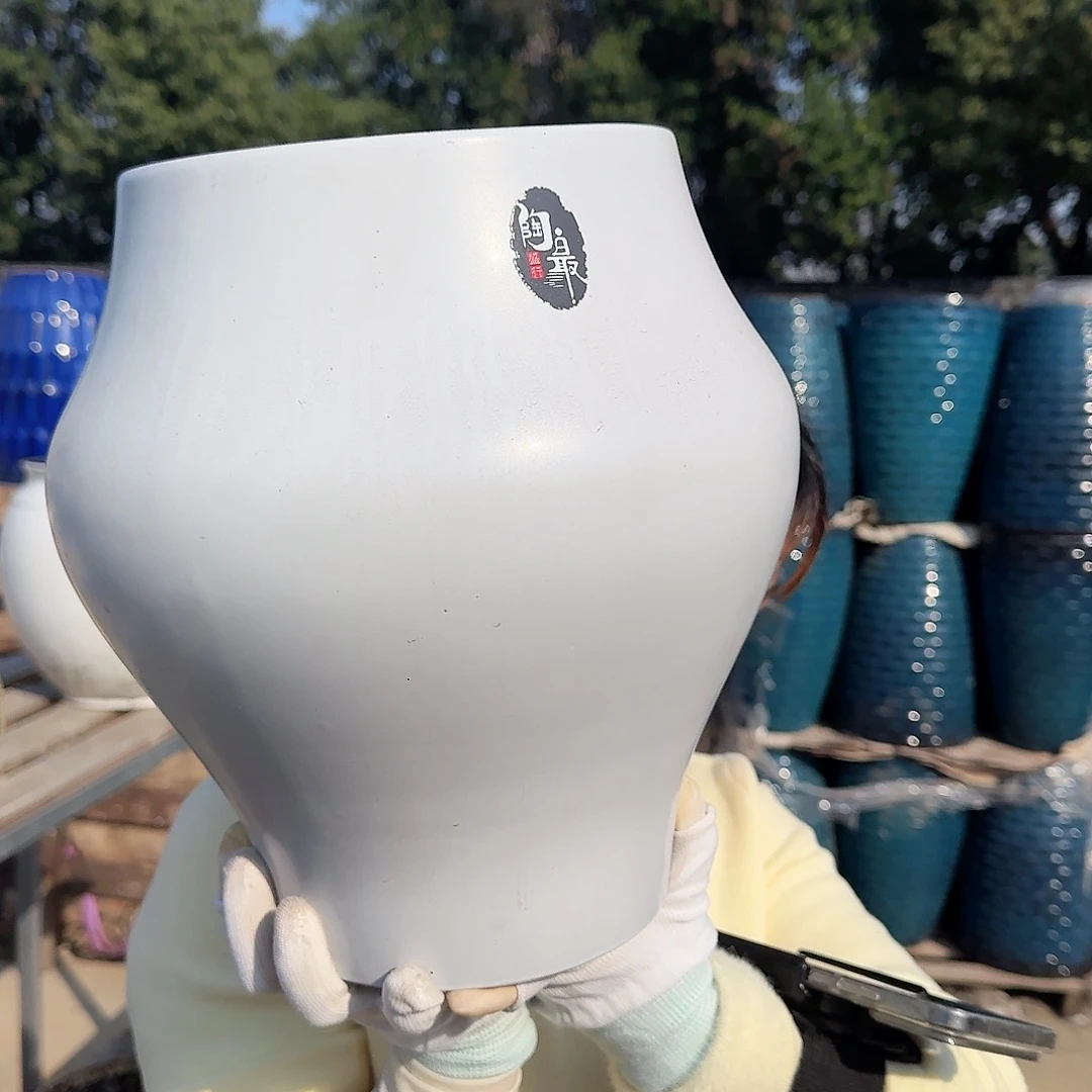 王嫂花盆直播1122-440