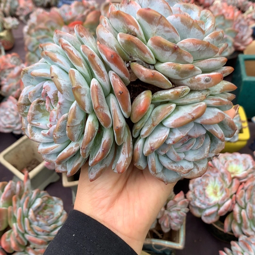 哈哈哈哈哈哈哈哈哈哈哈