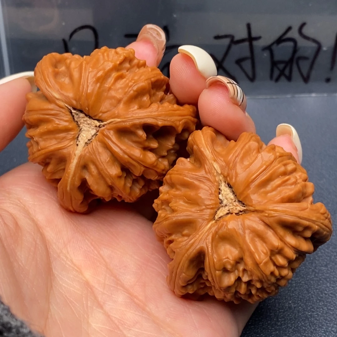 心***斋文玩核桃把件白狮子