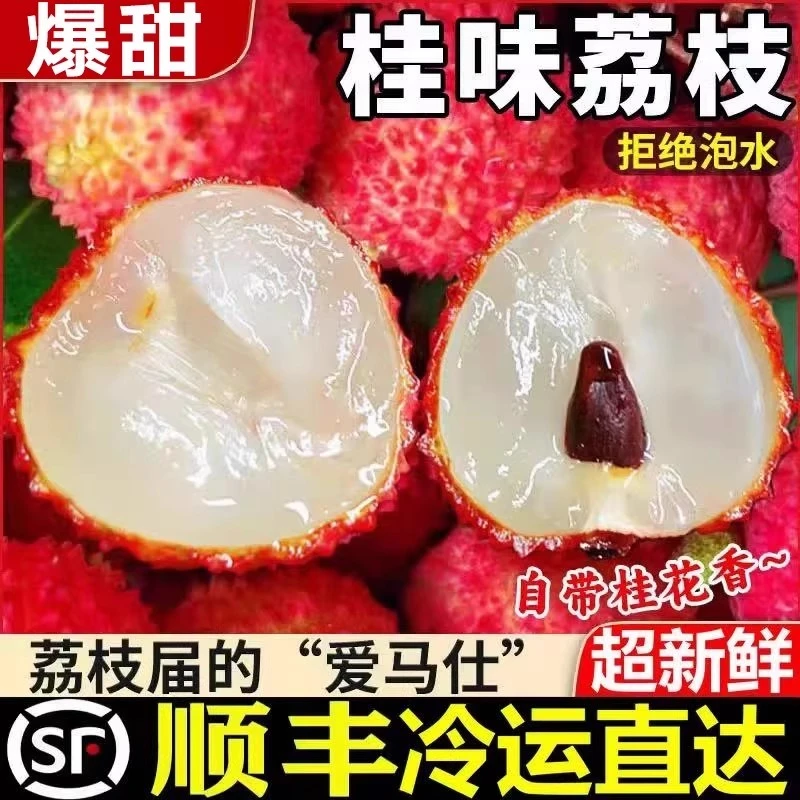 S【顺丰冷链】正宗广西桂味荔枝纯甜无酸果园直发新鲜采摘皮薄肉厚