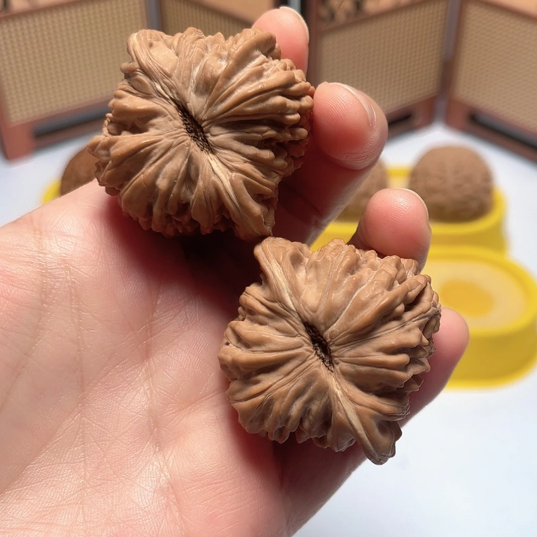 核桃45全品四座楼