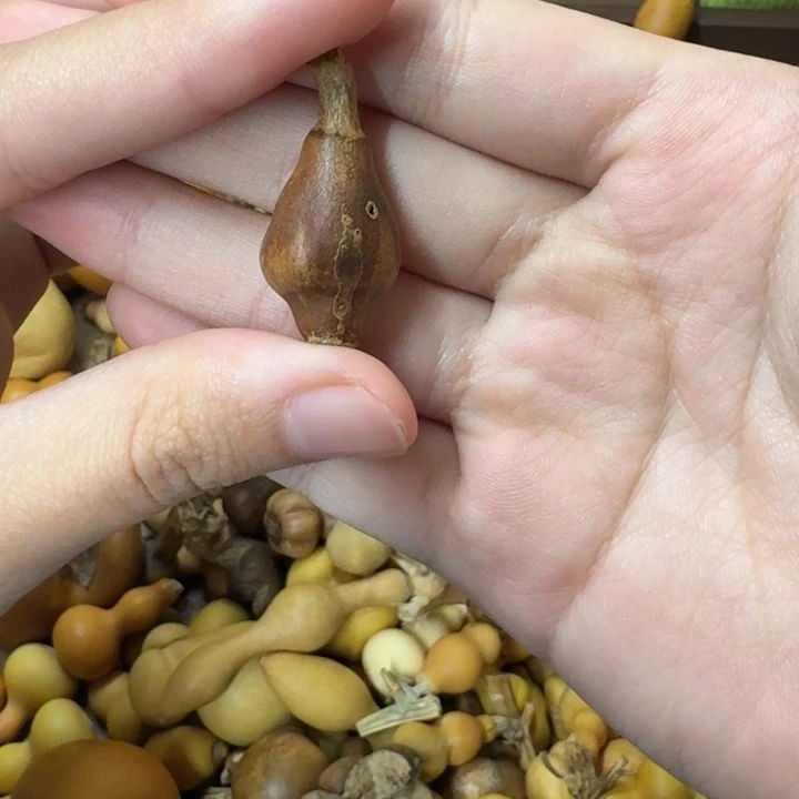葫芦葫芦葫芦不包邮