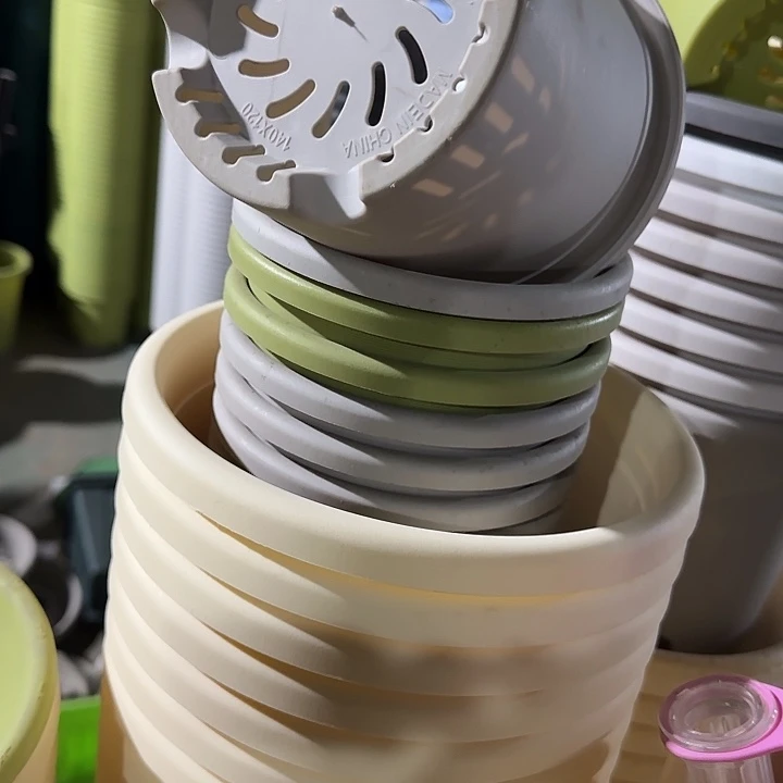 口径14无托灰白10个