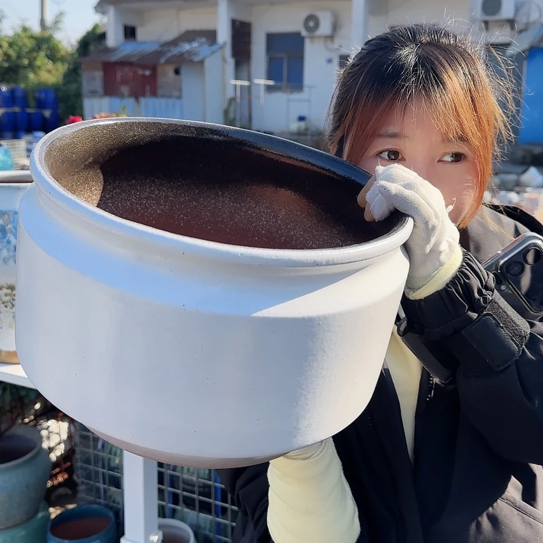 王嫂花盆直播1121-403高20口30