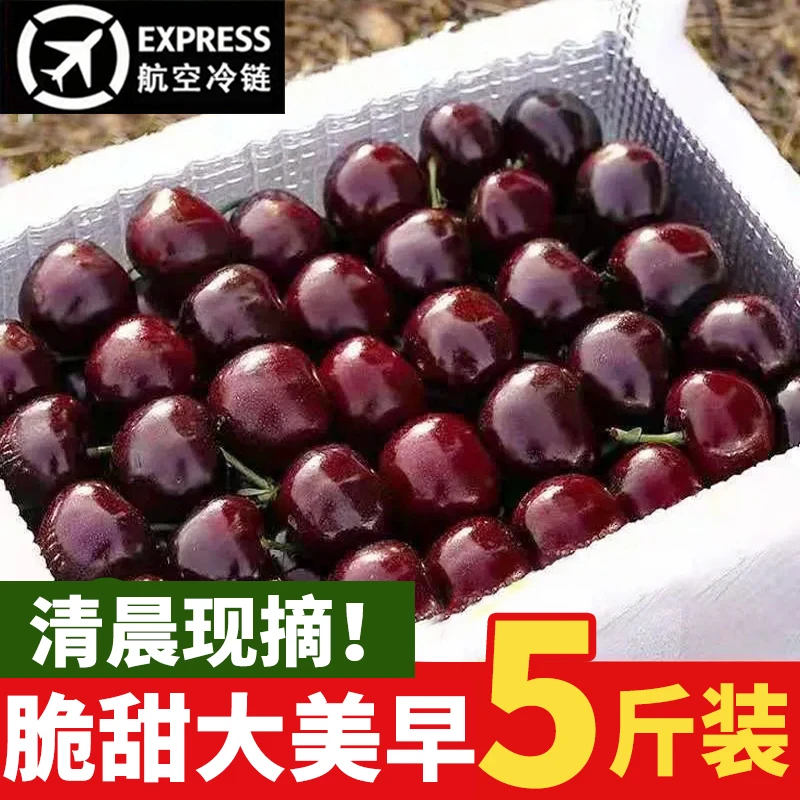 烟台大樱桃新鲜水果空运车厘子1-5③