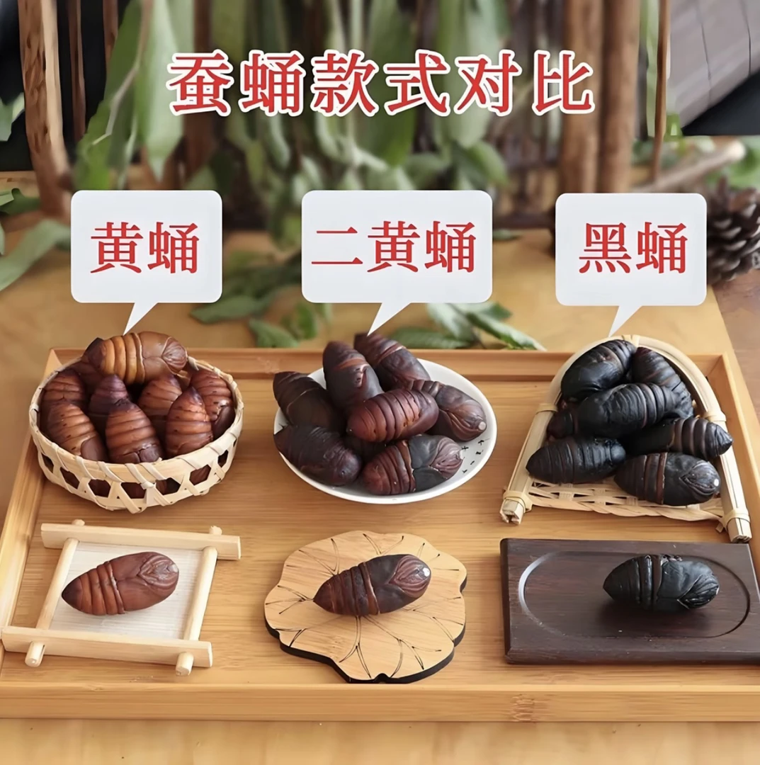 东北特产 新鲜蚕蛹 初级农产品 大黑活蛹 泡沫箱冰袋发货