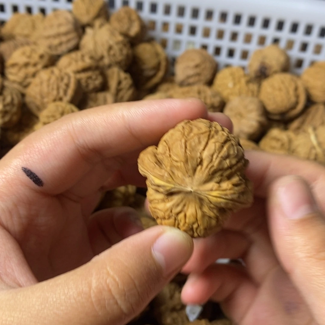 老***、大叶紫檀（黑酸枝木类）
