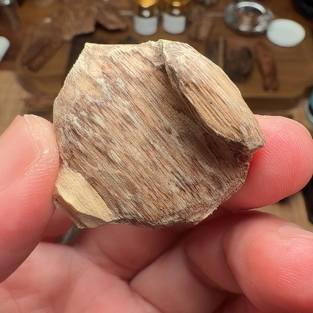 沉香广西博白瓜子