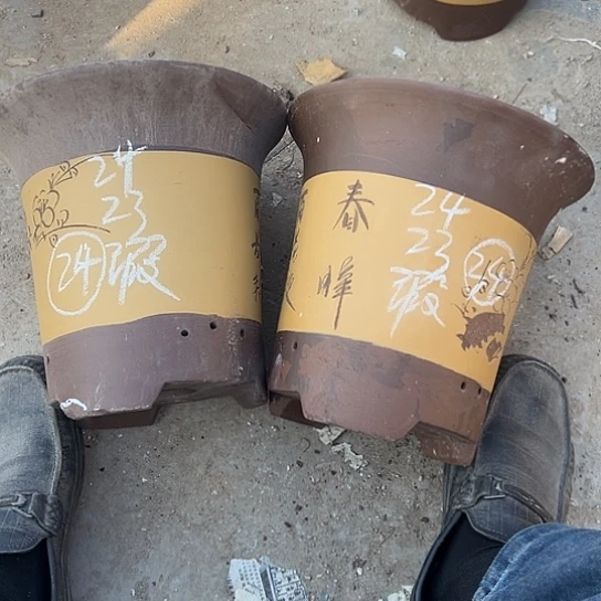 紫砂工艺厂……紫砂工艺厂