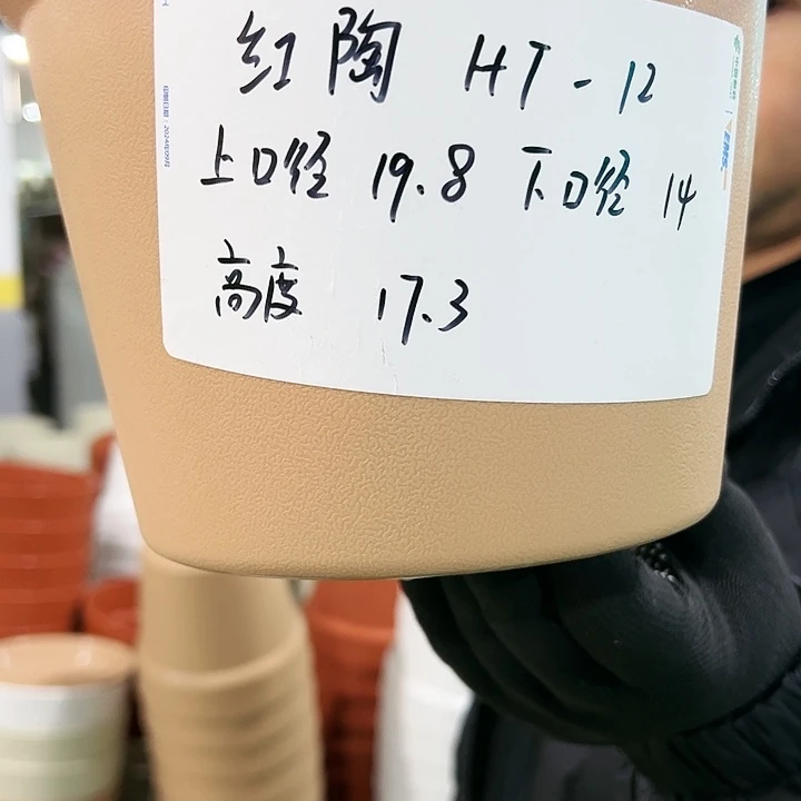 正品红陶口19.8高17白色6个无托