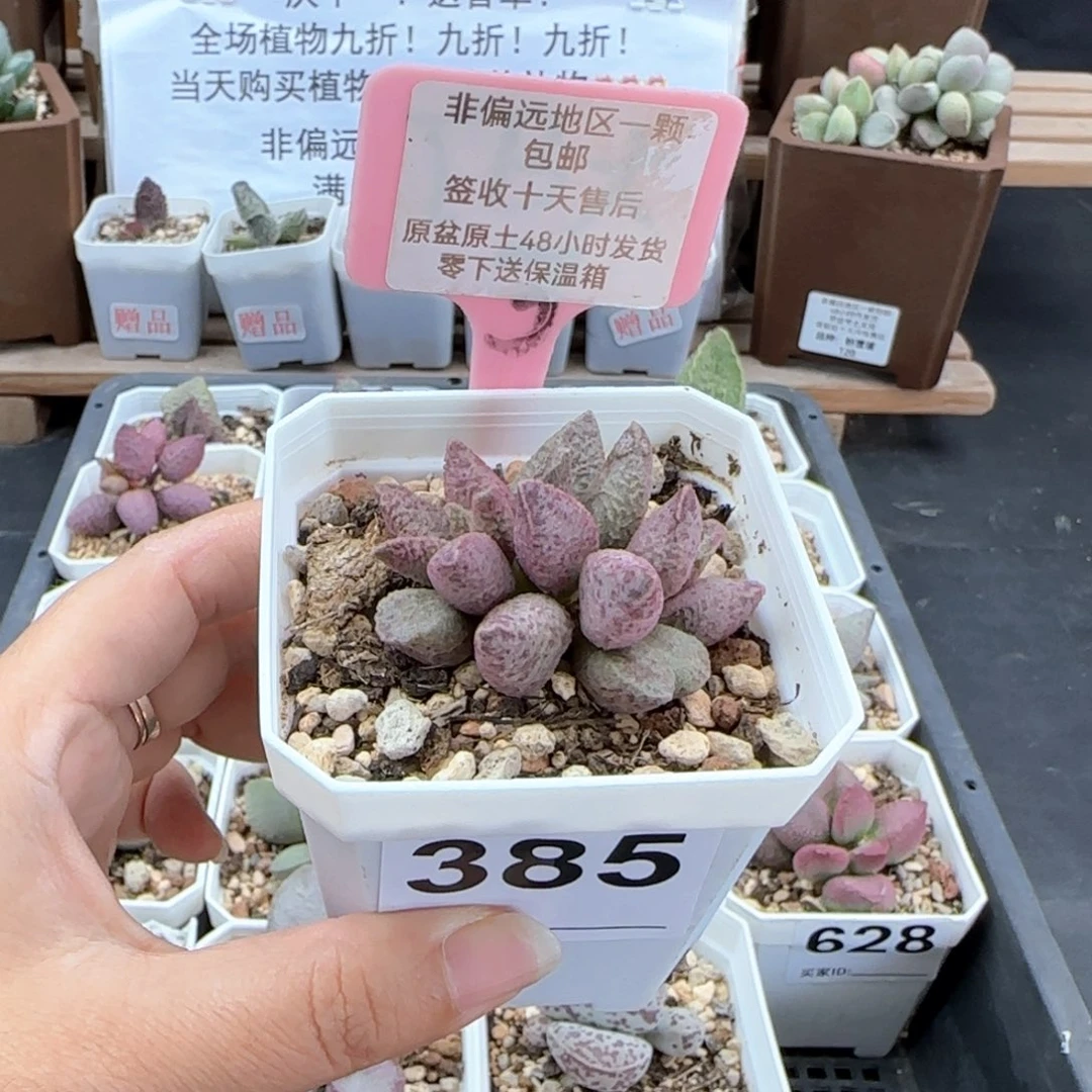 385融化纹猪肝微瑕