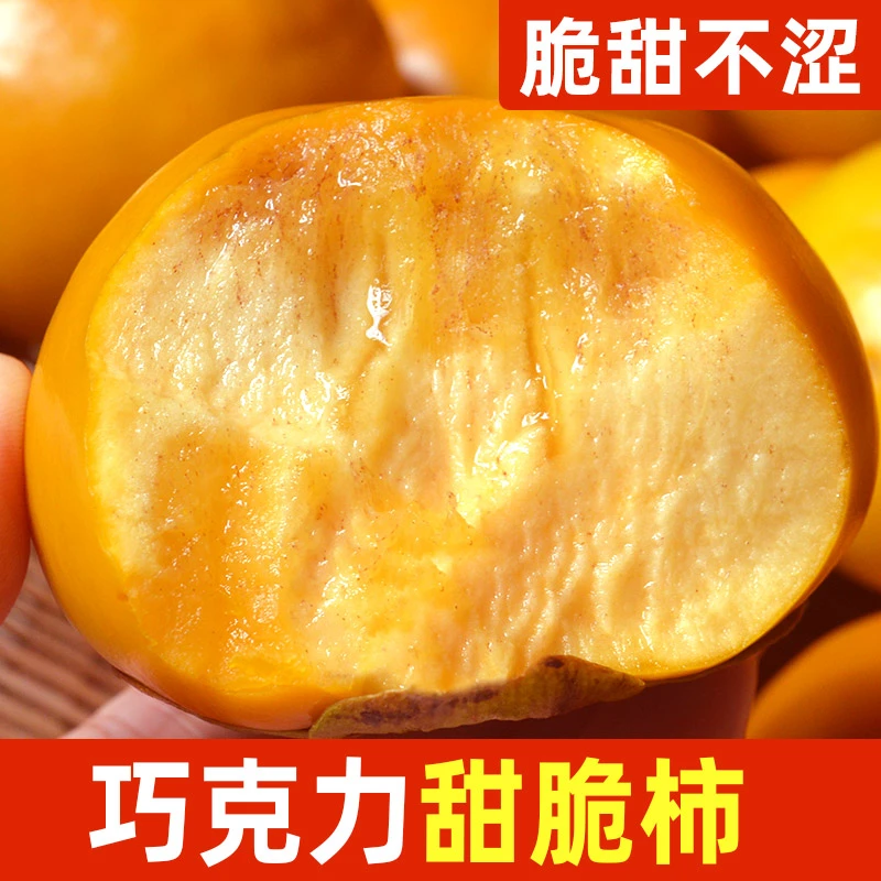 【脆甜不涩】山西陕西阳丰巧克力糖心脆柿子硬脆甜柿新鲜水果5-9斤