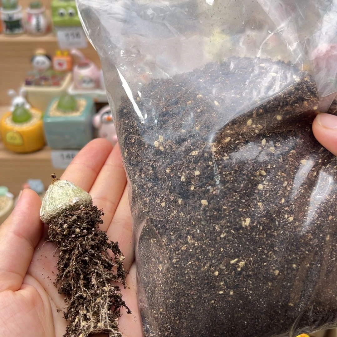 多肉植物肉锥土一包