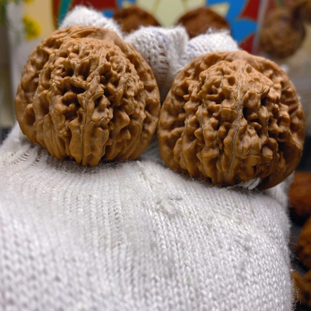 核桃43尺49克熊儿寨一代楼