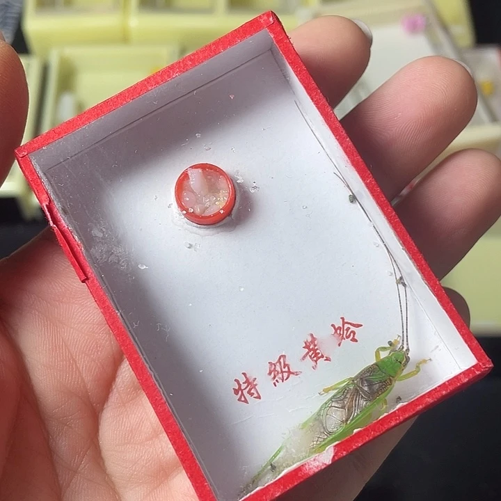 钱***样蟋蟀哈哈哈哈哈哈哈哈哈哈哈