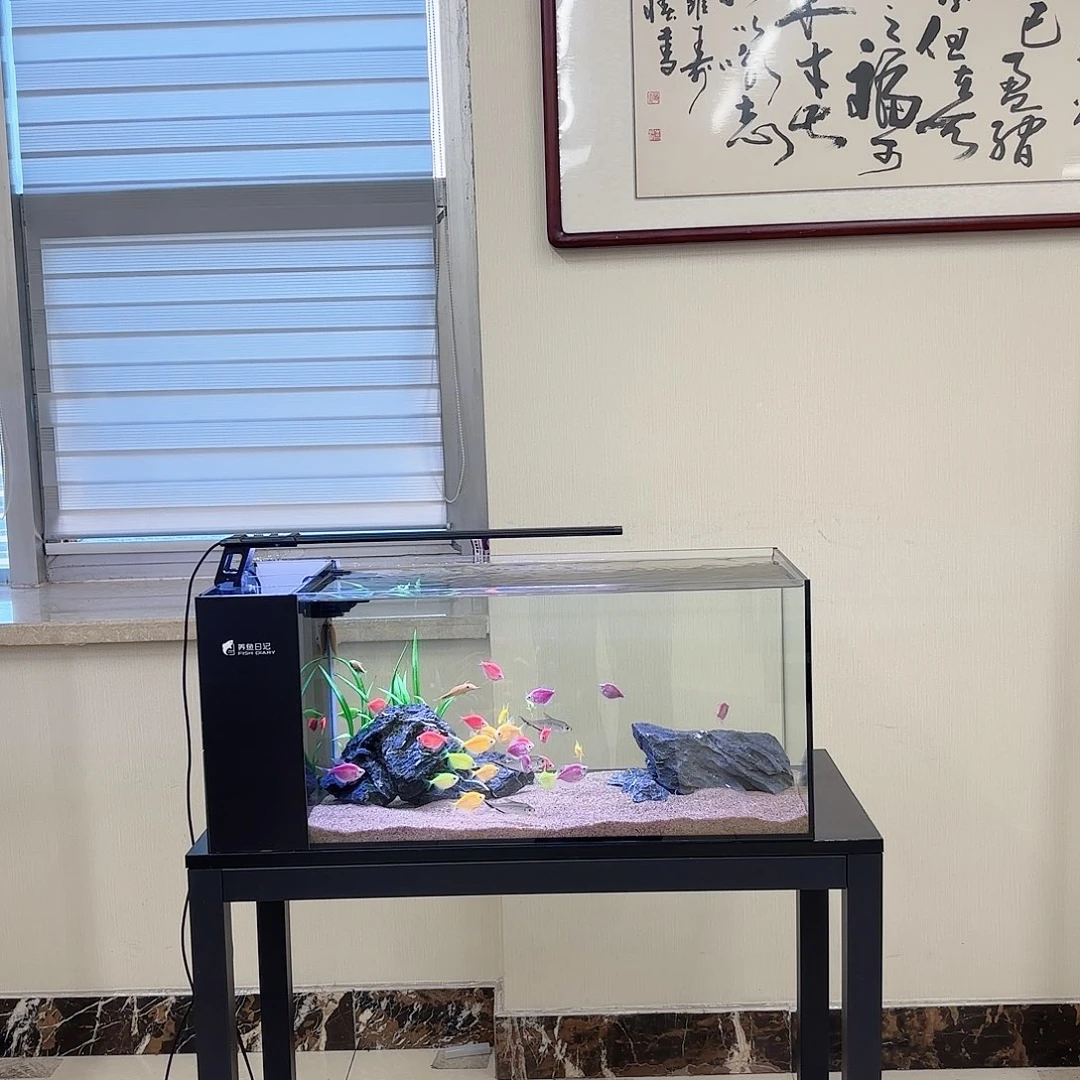 玻璃703030全套带造景