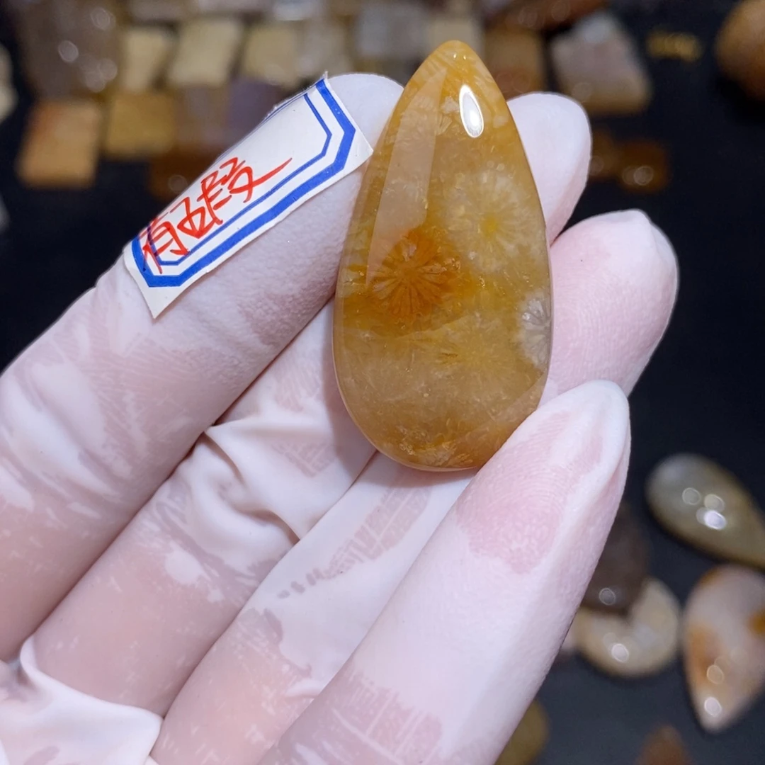 【闪购商品】硅化玉珊瑚玉未镶嵌