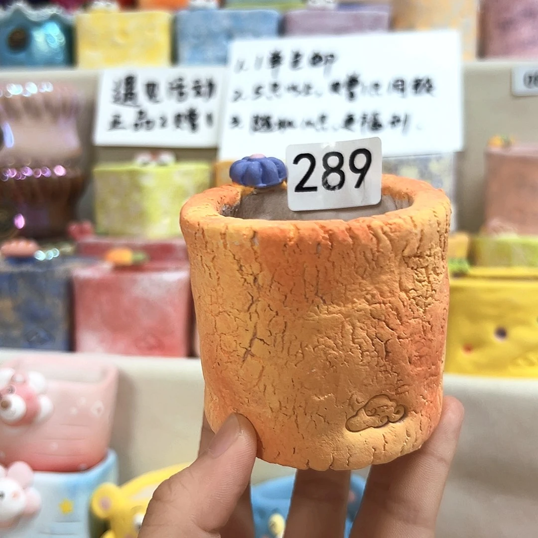 289 。 内口5左右。