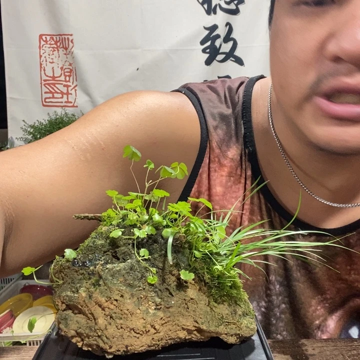 澜一物一拍所见即所得170