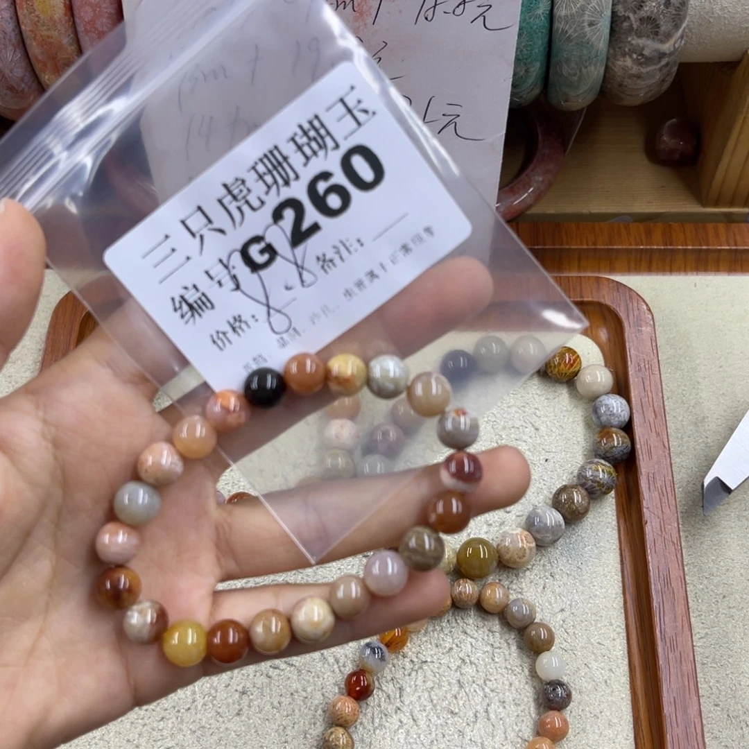 八***猫未镶嵌h硅化珊瑚（珊瑚玉）