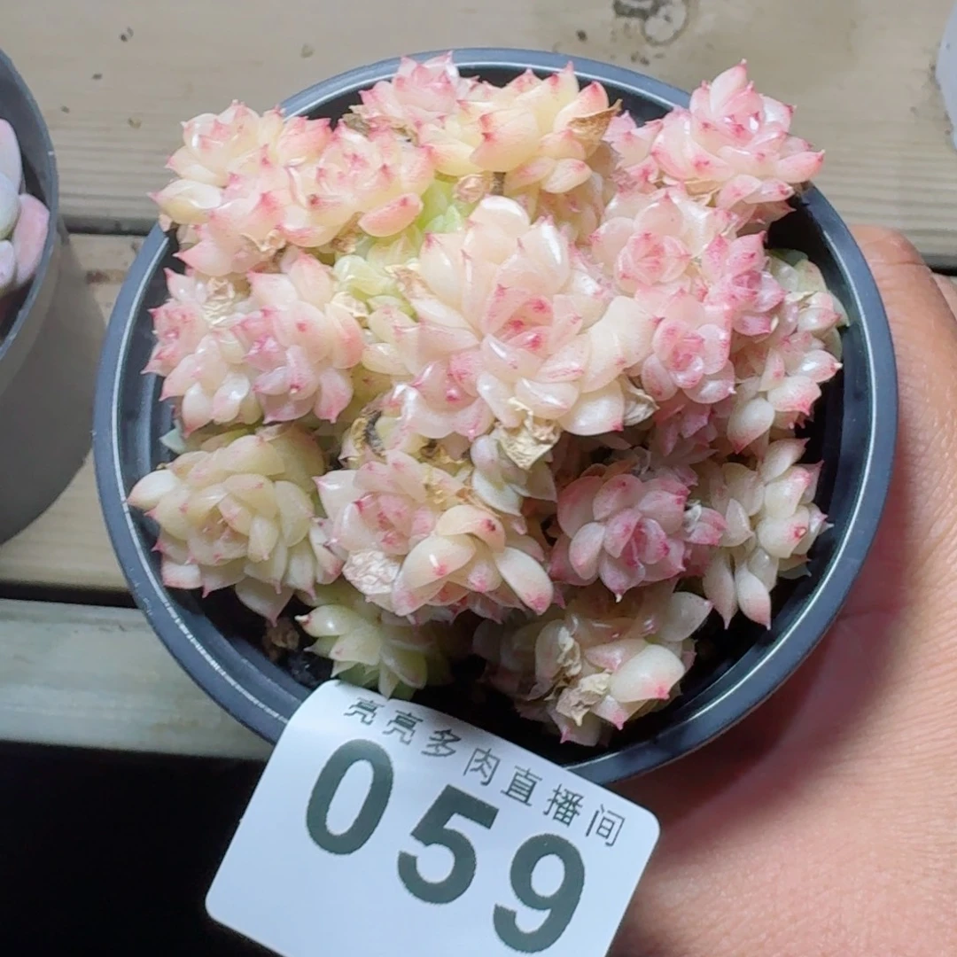 当***归麦秆      愿你一路坦途，乘风破浪展宏图