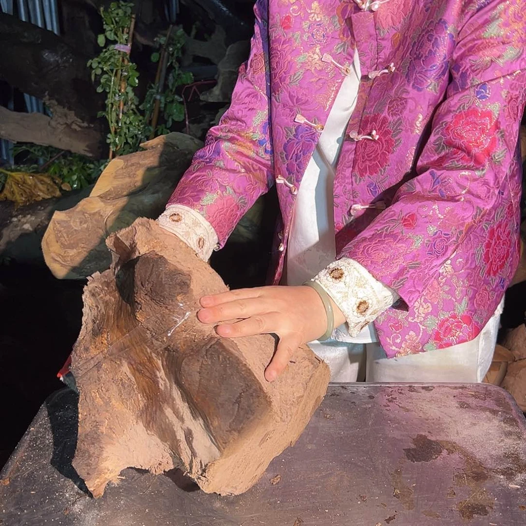 金丝楠禾****号222222222222