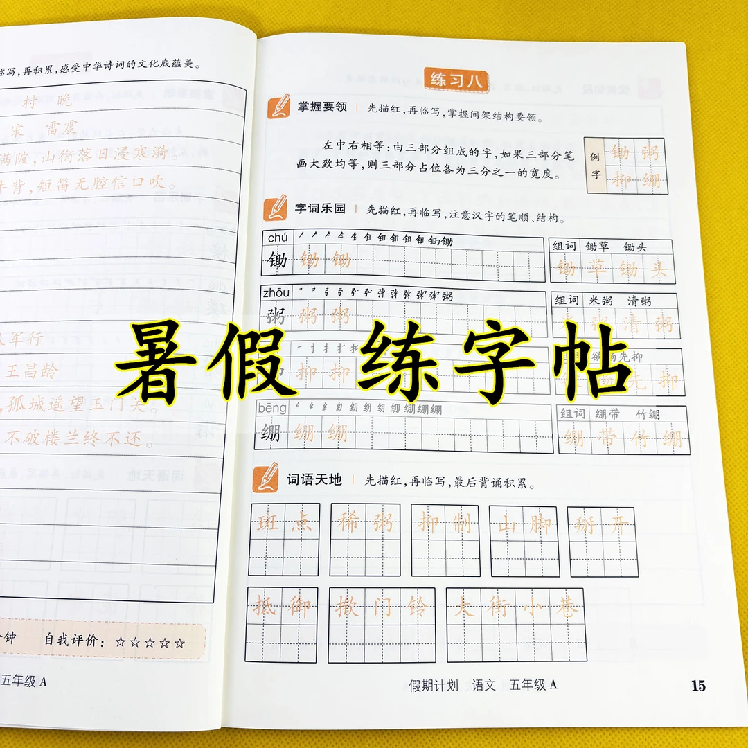 五升六暑假练字帖假期计划暑假专项训练暑假作业五年级暑假练字本