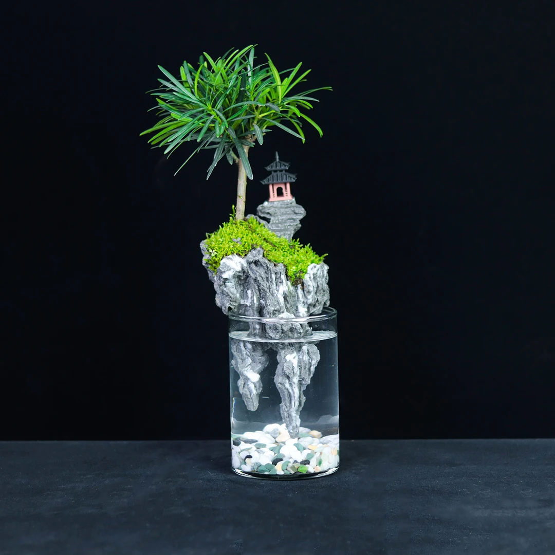 【蜀山】罗汉松创意真绿植桌面微景观中式国风摆件点缀鱼缸9.5*14cm