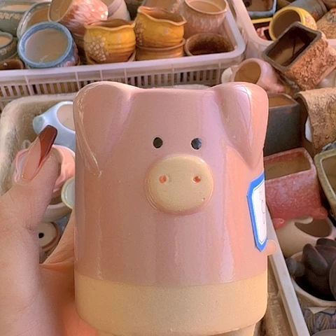 陶瓷陶瓷444334433