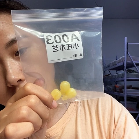 【闪购商品】石英石铁合金003