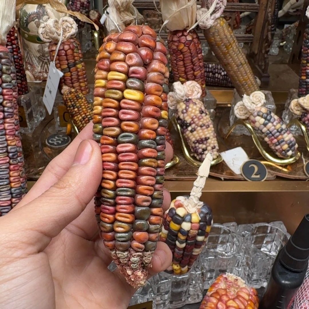 柏香籽/百香籽吊坠、***城