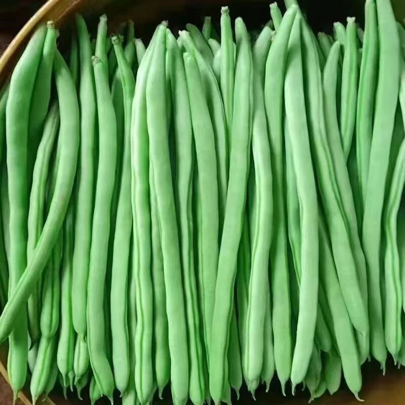 四季豆（约500g）